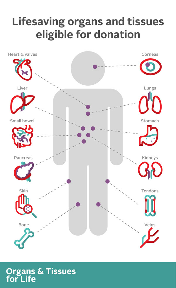 image of the poster showing organs and tissues that can be donated.