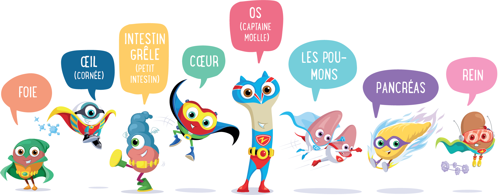 les orgamites
