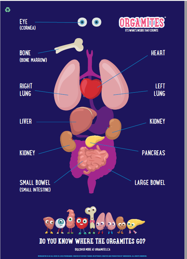 an image of a poster showing the mighty organs that can be donated featuring the Orgamites characters
