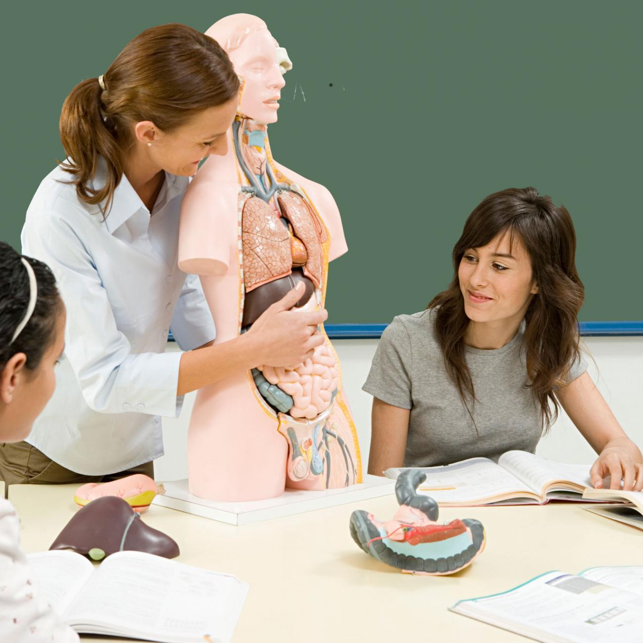 a photo of students learning about anatomy in a classroom