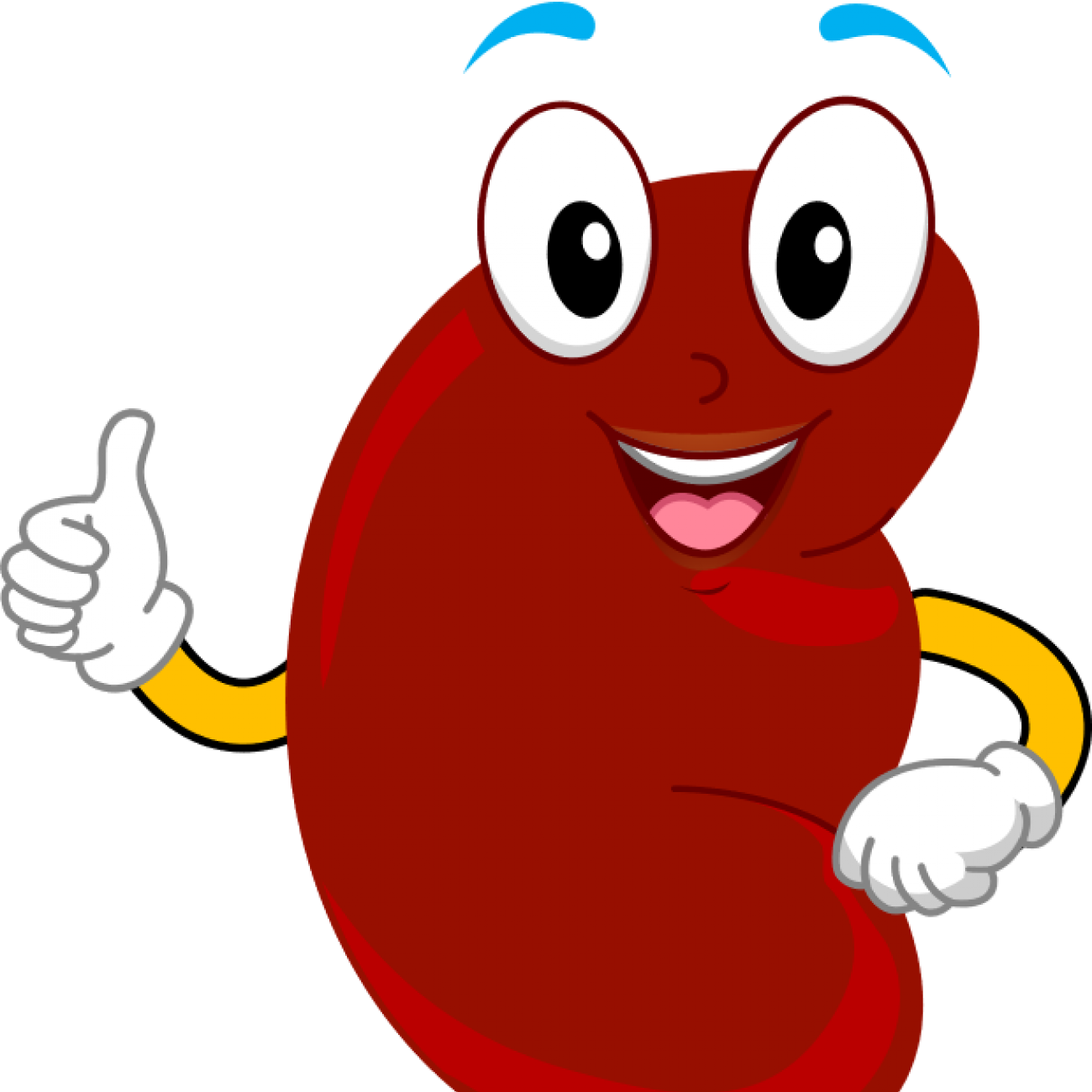 World Kidney Day - School Kit (Age 6-11) | Organ Tissue Education